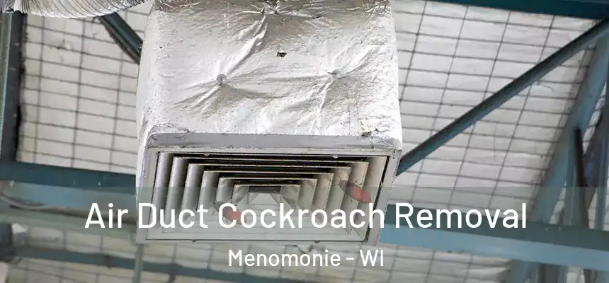  Air Duct Cockroach Removal Menomonie - WI