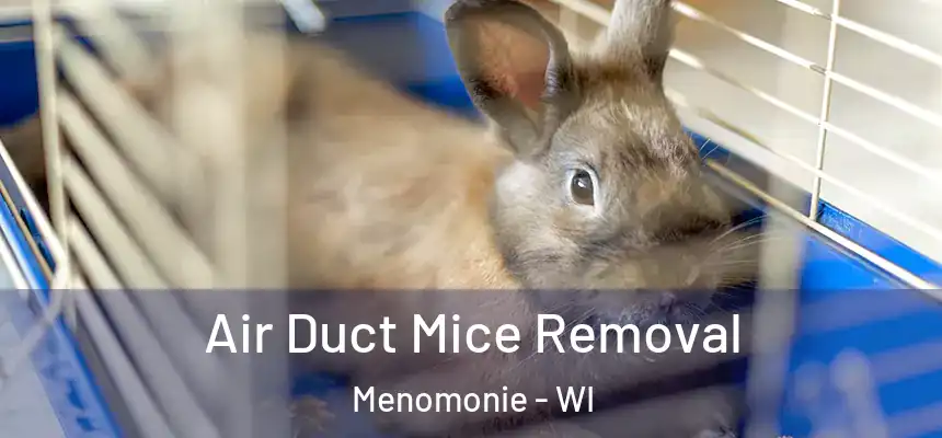 Air Duct Mice Removal Menomonie - WI