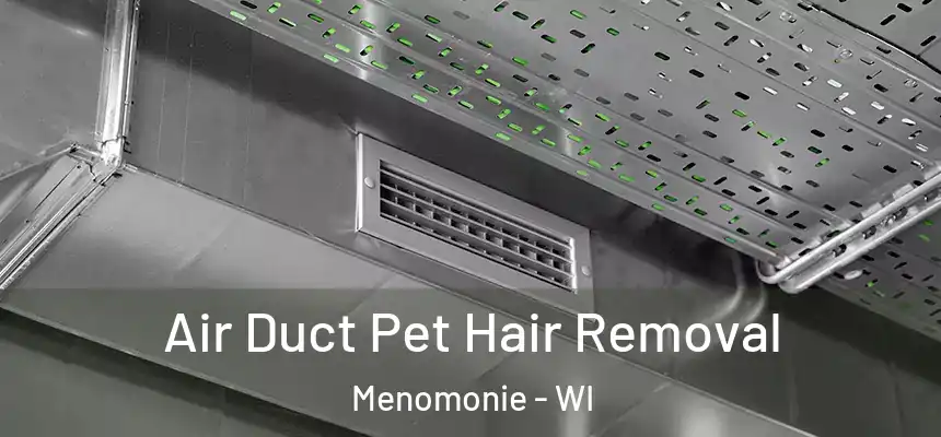  Air Duct Pet Hair Removal Menomonie - WI