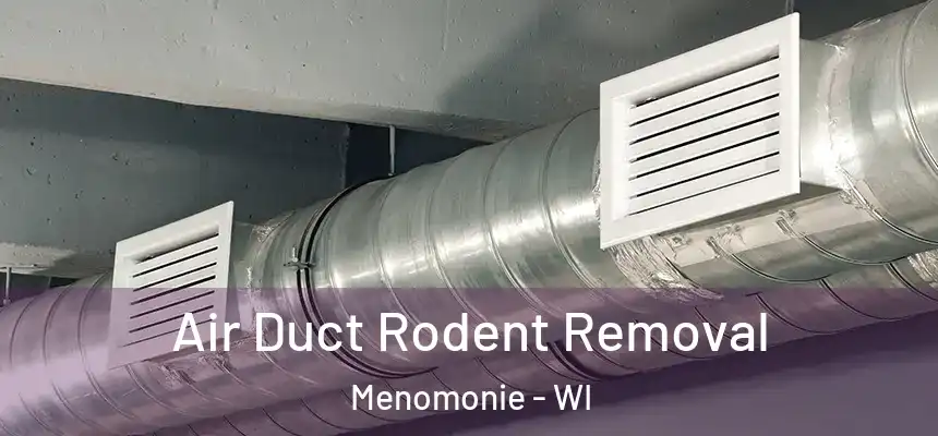  Air Duct Rodent Removal Menomonie - WI