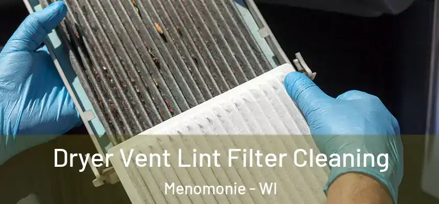  Dryer Vent Lint Filter Cleaning Menomonie - WI