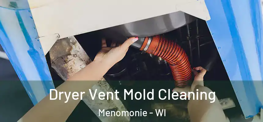 Dryer Vent Mold Cleaning Menomonie - WI