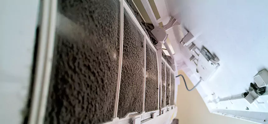 Preventive Air Duct Bacteria Removal in Menomonie