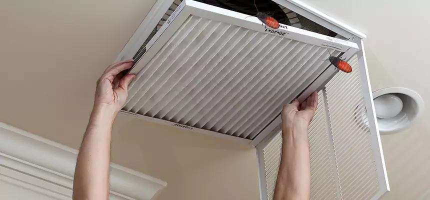 Preventive Cockroach-Proofing for Ducts in Menomonie