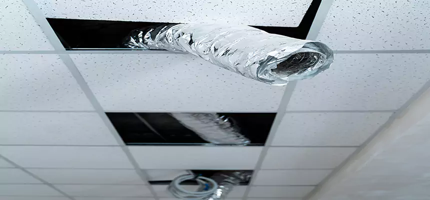 Our Air Duct Pet Hair Removal Services in Menomonie, WI