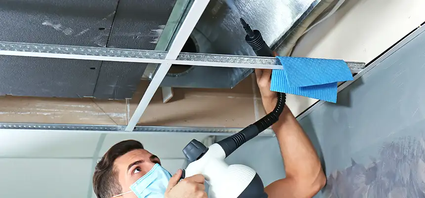 Our Air Duct Rodent Removal Services in Menomonie, WI