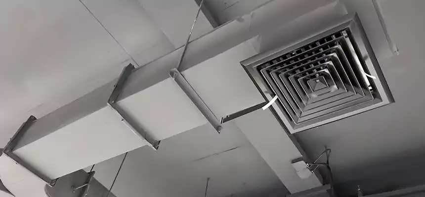 Restorative Allergy Relief Vent Cleaning – Coil, Blower & Housing Detail in Menomonie