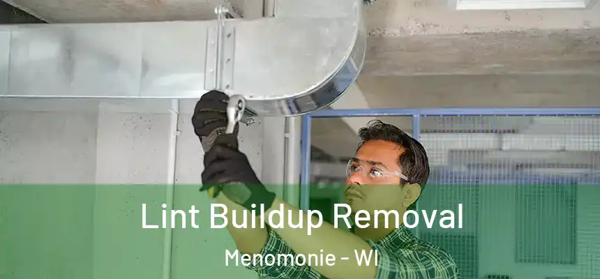 Lint Buildup Removal Menomonie - WI