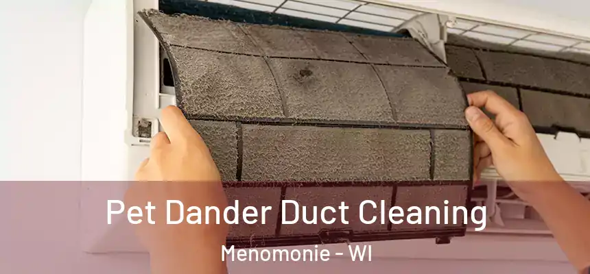 Pet Dander Duct Cleaning Menomonie - WI