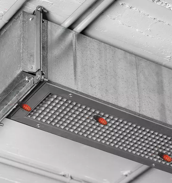 About Air Duct Cockroach Removal in Menomonie, WI