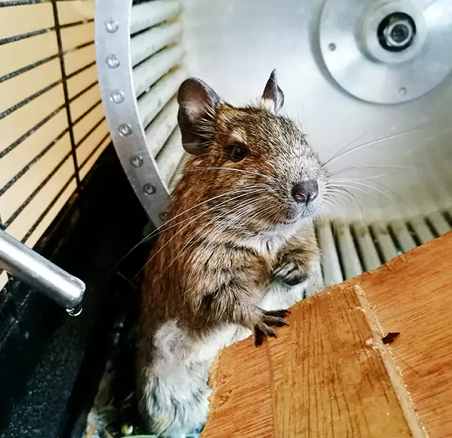 Why Homeowners & Businesses Trust Us Menomonie, WI?